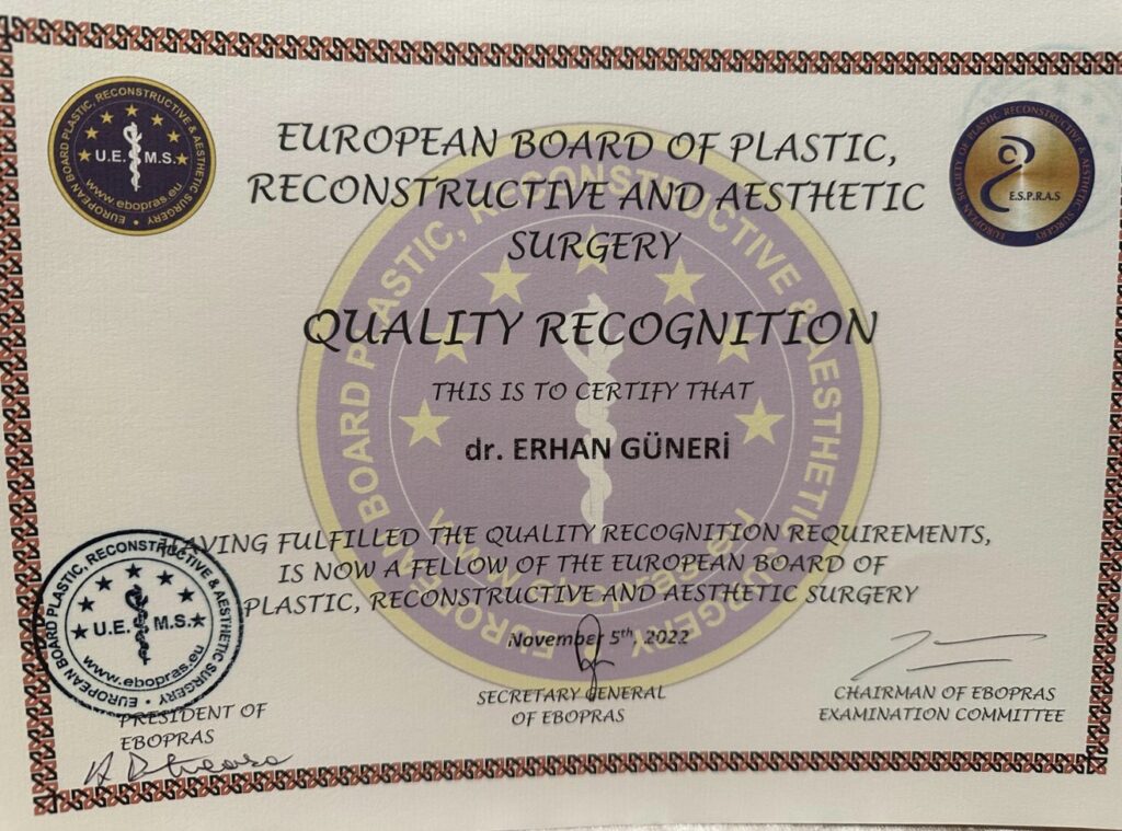 european board of plastic reconstructive and aesthetic surgery